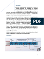 Projet InfoDev-cartographie de L'entreprise