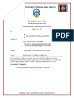 Informe Final de Concreto B1 2019