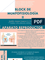 Sistema Genital Femenino Con Histologia