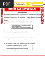 Uso de Las Mayusculas para Primero de Primaria