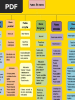 Mapa Conceptual