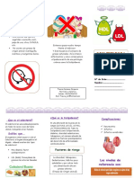 Folleto Dislipidemia