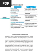 Esquema y Analisis Diferencial Sobre Los Sujetos Que Intervienen en La Relacion Laboral.