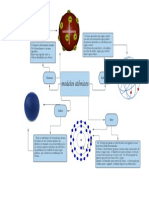 Mapa Conceitual - Modelos Atômicos