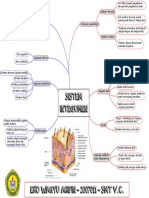 Mind Mapping Sistem Integumen