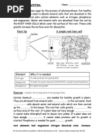 Nutrition Plant