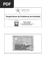 Terapia Breve de Problemas de Ansiedad Clase 2