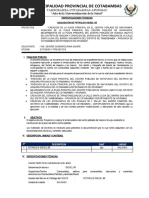 TDR Combustible Final Estudios