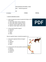 Guia 2 Cienciassextonivelesdeorganizacion