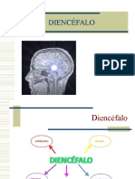 DIAPOSITIVAS Diencéfalo