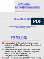 Audit Ppi