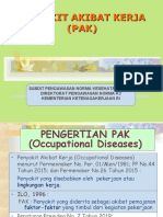 Penyakit Akibat Kerja (PAK)