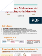 Mecanismos Moleculares Del Aprendizaje y La Memoria