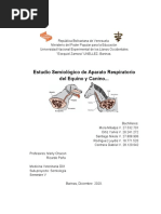 M.V - Semiologia D01 - Estudio Semiologico Del Aparato Del Equino y Canino