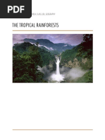 The Tropical Rainforests