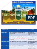 Biogeochemical Cycles