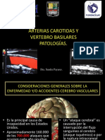 Arterias Carotidas y Vertebro Basilares Patologías.