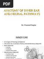 Anatomy of Inner Ear and Neural Pathways