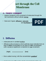 Sbi4u1-Cell Bio-Cell Transport 4