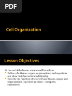 Cell Organization Grade 7