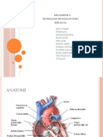 Kelompok 4 Tetralogi of Fallot (Tof) Kelas 3A