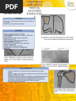 Plantilla Anatomia