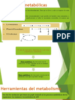 Tema 4 Rutas Metabolicas - Carbohidratos-Lipidos-Proteinas