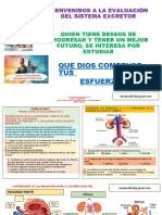 EVALUACIÓN DEL SISTEMA EXCRETOR Realizada