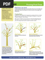 Pruning