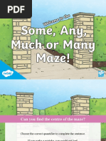 T Eal 114 Some Any Much Many The Maze Game - Ver - 3