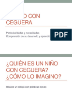 Desarrollo Evolutivo Niño Ciego