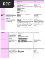 Cuadro Comparativo