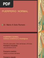 Puerperio Normal