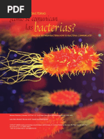 3 Dialogo Bacterias