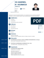 Carlos Chunga CV No Documentado