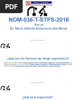 NOM 036 STPS (Autoguardado)