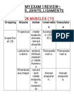 Exam 1 Anatomy Review Guide With Muscle Actions