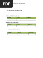 Listado de Brigadistas - Llamadas de Emergencia