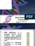 DNA Replication in Prokaryotes