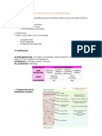 Ruptura Prematura de Membranas