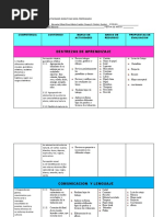 Plan Bimestral de Contenidos y Actividades Didácticas Nivel Preprimario - Docx Selena