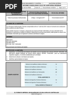 Gscauifm 006 Formatodeconsolidadocicloauditoriasfirmado