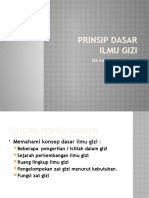 Prinsip Dasar Ilmu Gizi