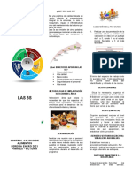 Las 5S Primer Folleto Capacitacion 2021 Enero