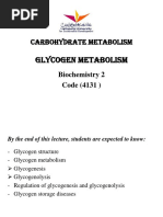 Glycogen Metabolism