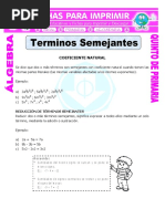 Terminos Semejantes Con Coeficiente Natural para Quinto de Primaria