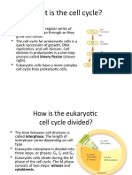 What Is The Cell Cycle?