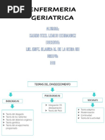 Mapa Conceptual Del Envejecimiento