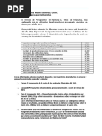 TAREA 4 Caso Molino Harinero La Union. Calculo de Presupuesto Operativo.