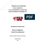 Trabajo Monografico Impacto Ambiental